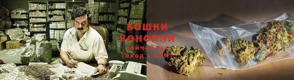 прущая мука Арсеньев
