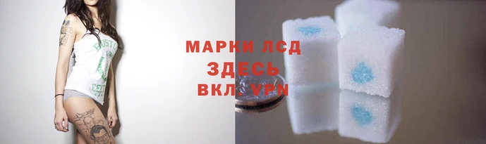 спиды Армянск