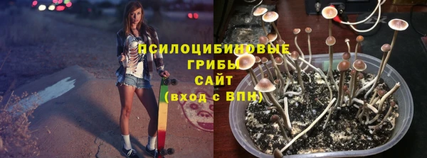 спиды Армянск