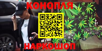 дживик Будённовск