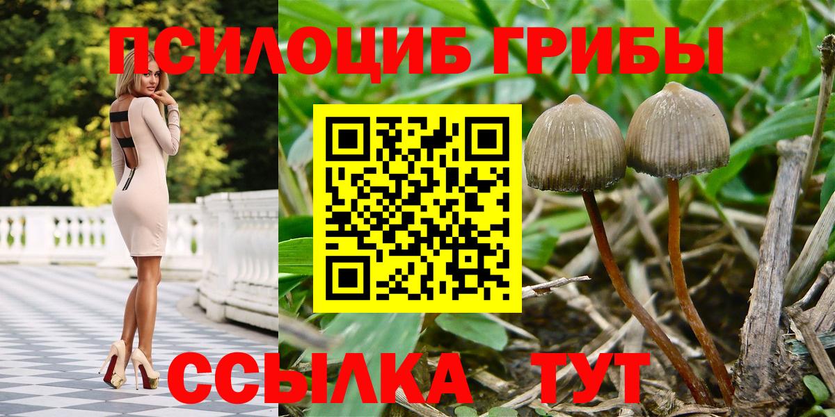 Псилоцибиновые грибы мухоморы Белово